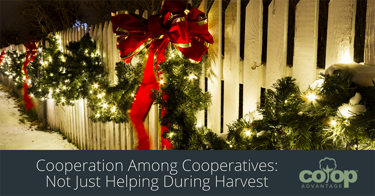 Cooperation Among Cooperatives: Not Just Helping During Harvest