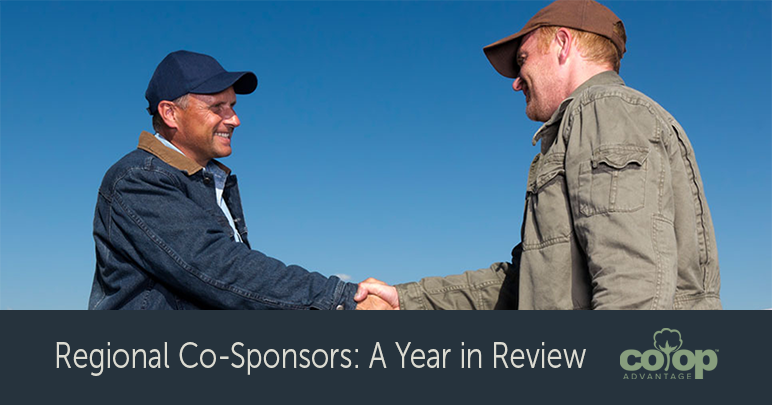 Regional Co-Sponsors: A Year in Review