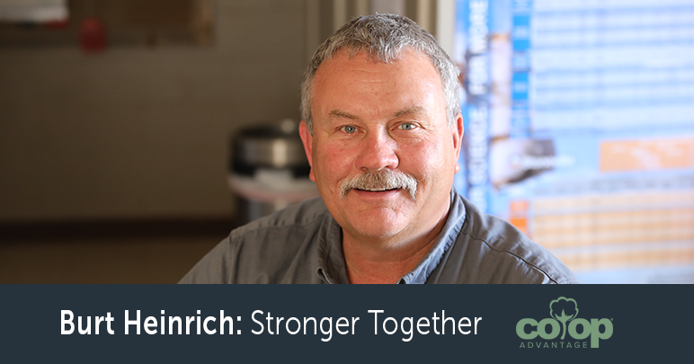 Burt Heinrich Blog Header