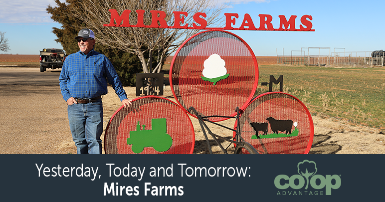 Yesterday, Today and Tomorrow: Mires Farms