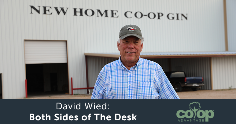 David Wied: Both Sides of The Desk