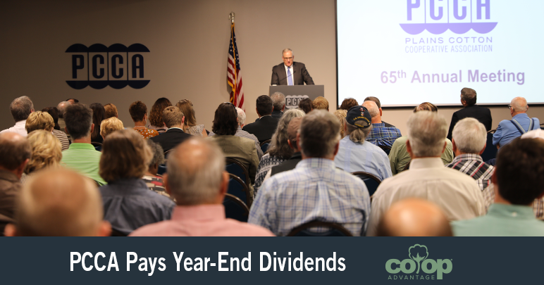 PCCA Year End Dividends