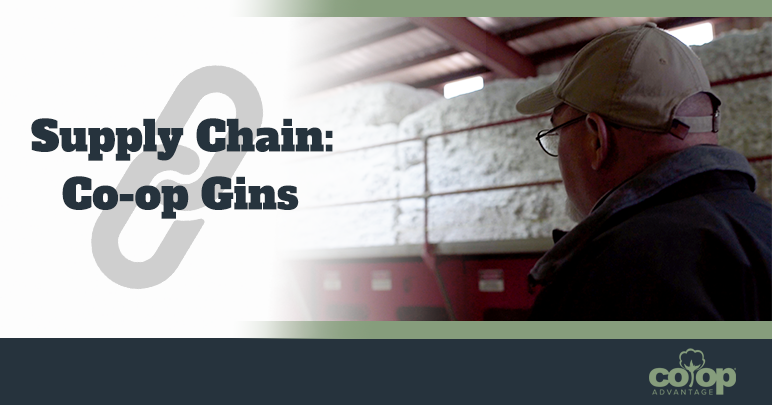 Supply Chain: Co-op Gins