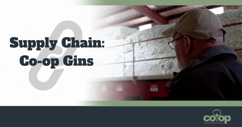 Supply Chain Co Op Gins Co Op Advantage