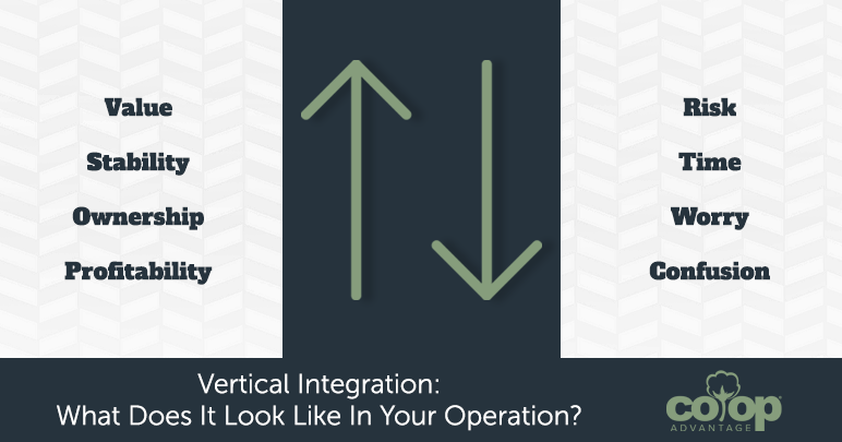 Vertical Integration – What Does It Look Like in Your Operation?