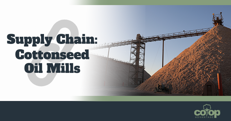 Supply Chain: Cottonseed Oil Mills