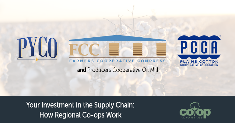 Your Investment in the Supply Chain: How Regional Co-ops Work