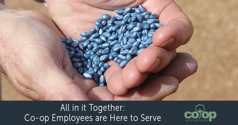 All in it Together: Co-op Employees are Here to Serve